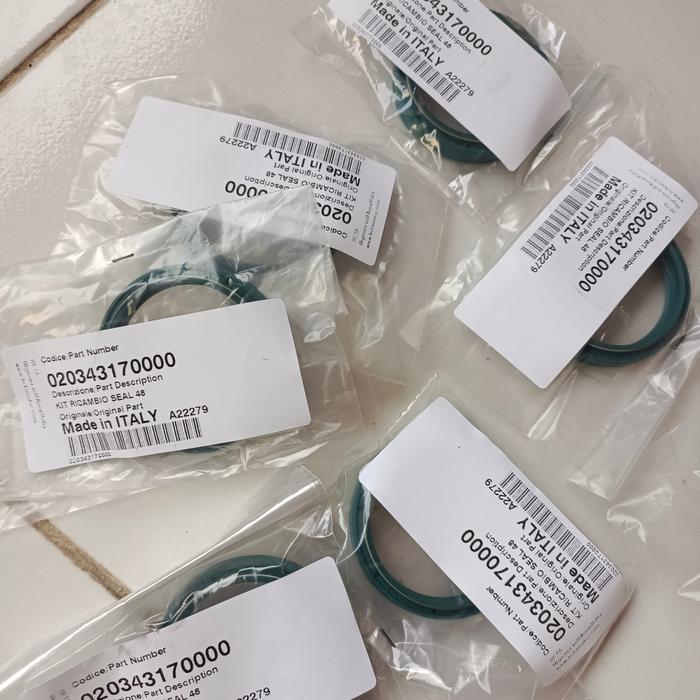 Seal Oil Fork Beta RR 300 2020/23
