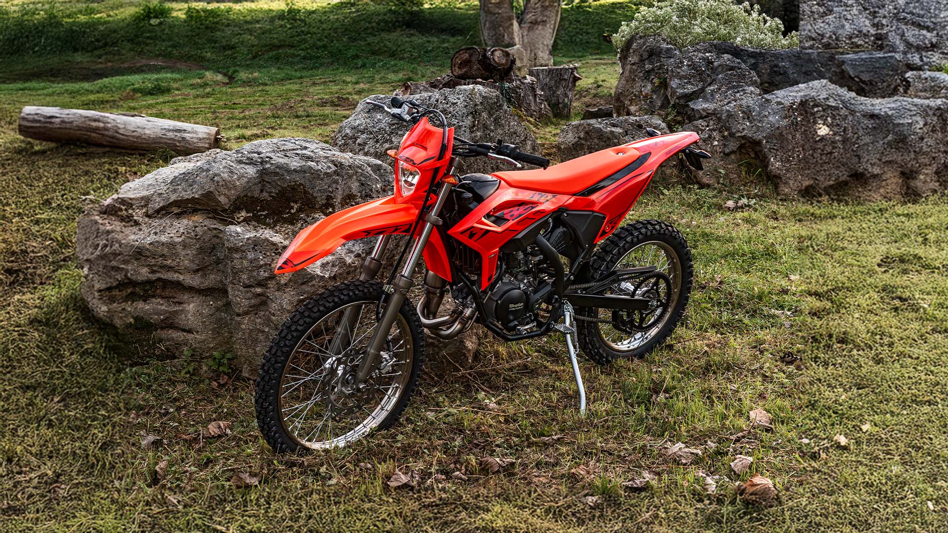 RR 2T 50