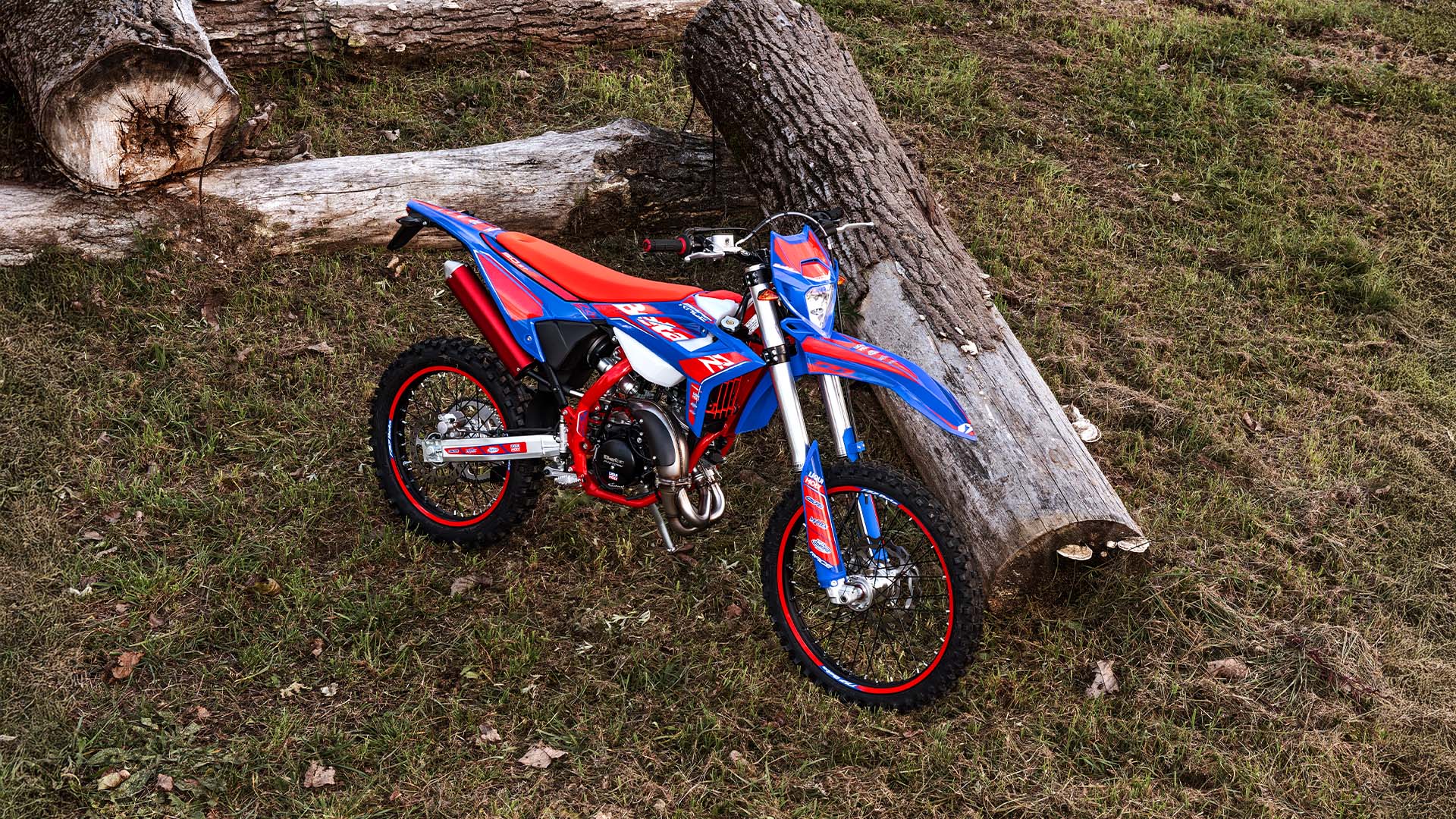 RR 2T 50 RACE
